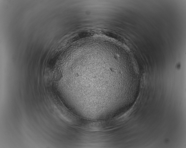 X0000116100178200912071308