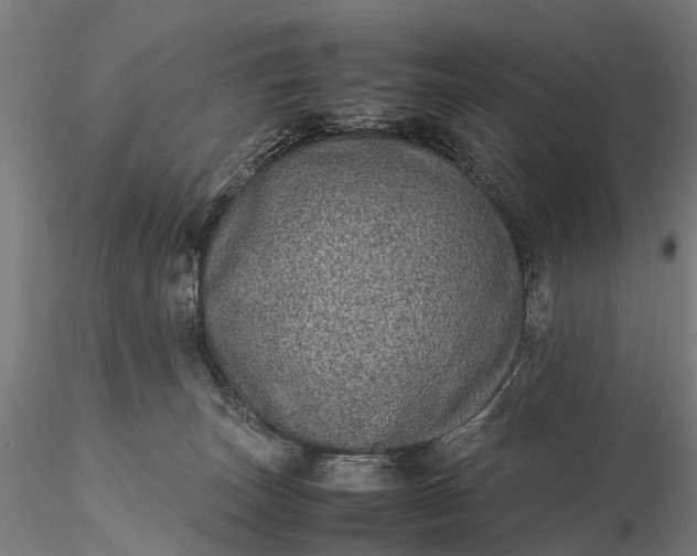 X0000116100179200912071308