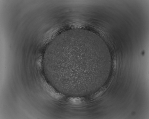 X0000116100181200912071308