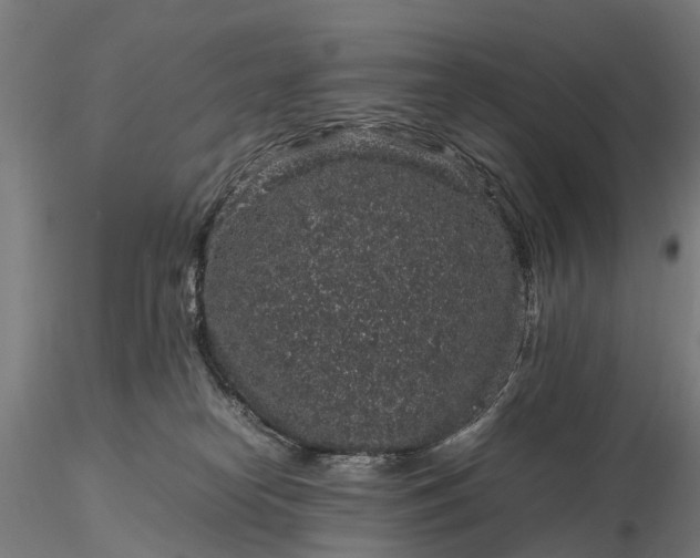 X0000116100182200912071308