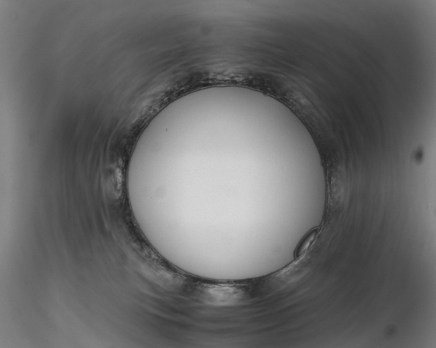 X0000116100183200912071308