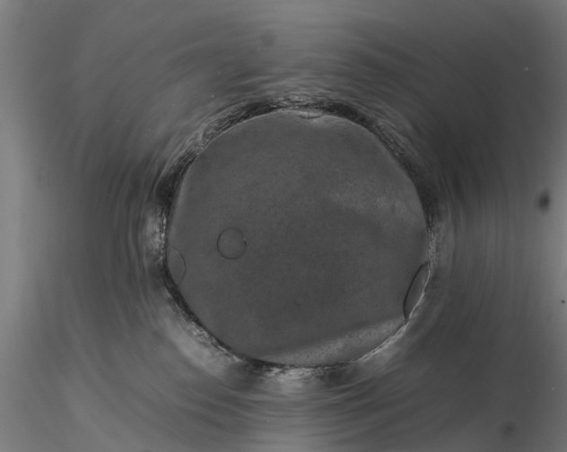 X0000116100186200912071308