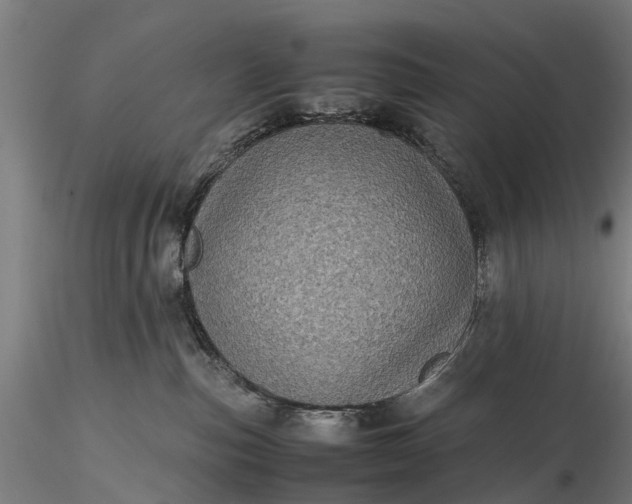 X0000116100187200912071308