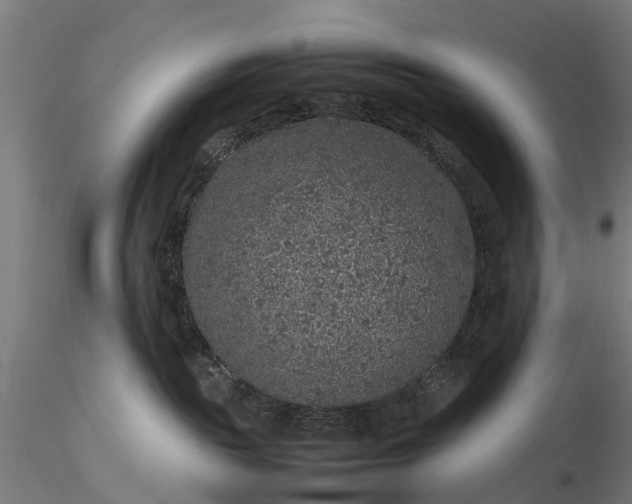 X0000116100189200912071308