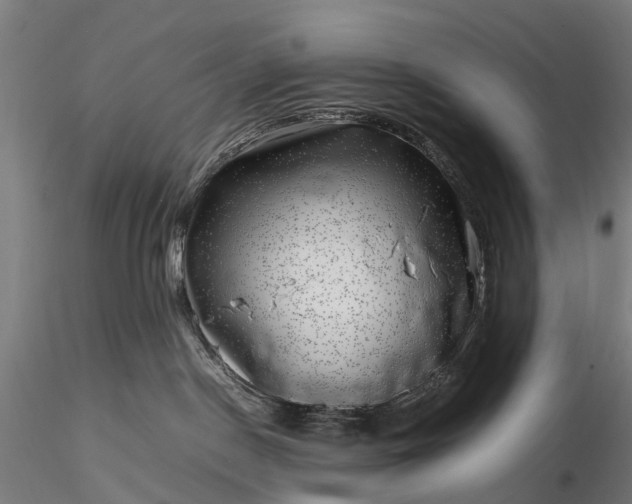 X0000116100190200912071308