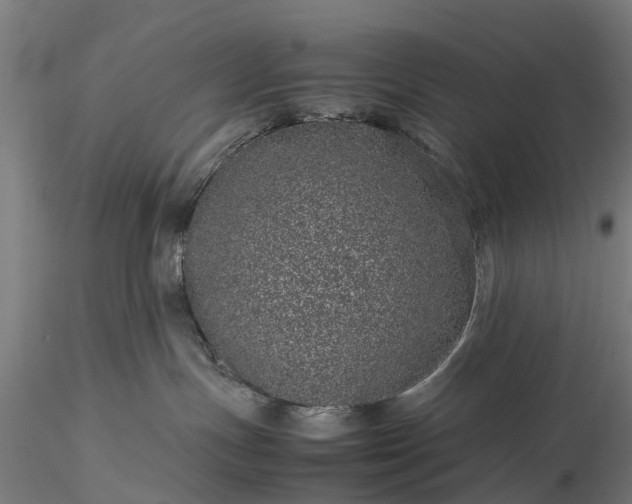 X0000116100191200912071308