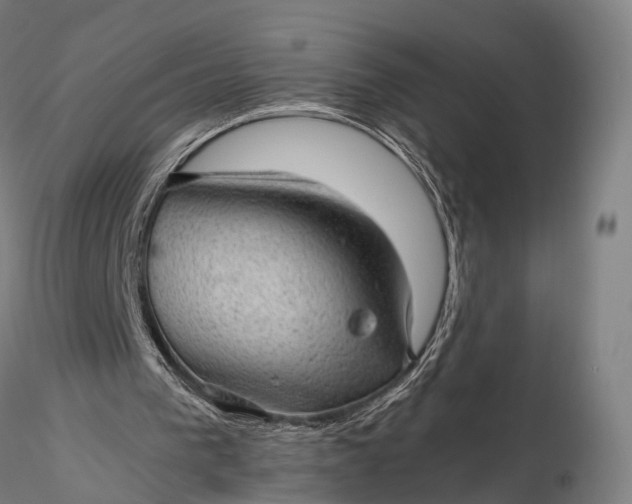 X0000116100193200912071308