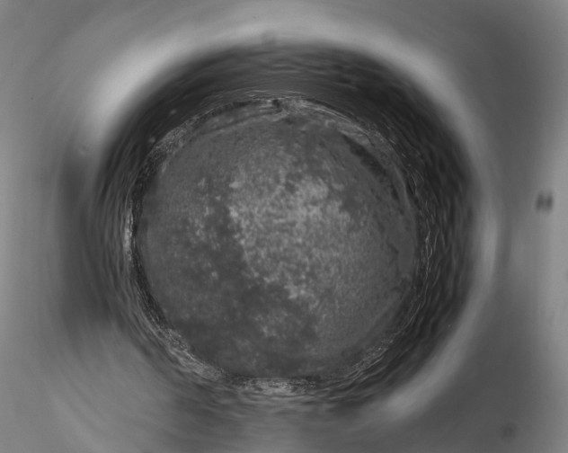 X0000116100194200912071308