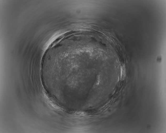 X0000116100195200912071308