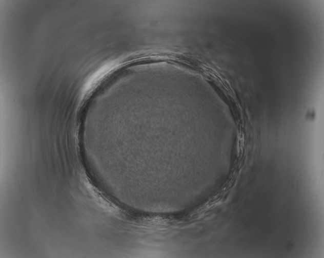 X0000116100197200912071308