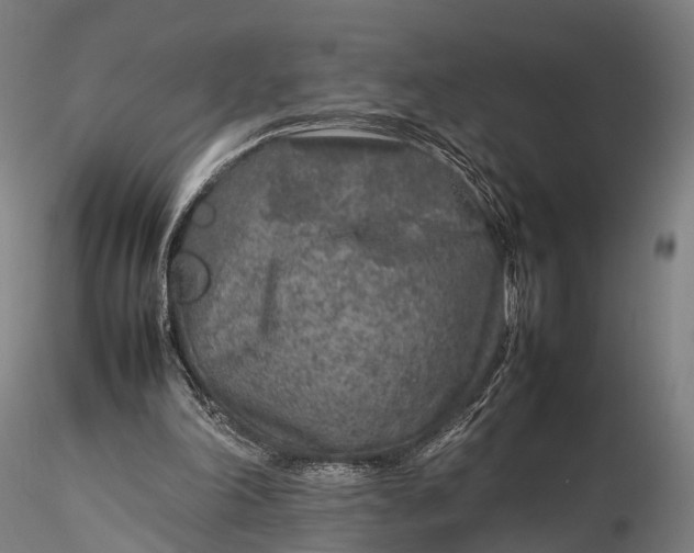 X0000116100198200912071308