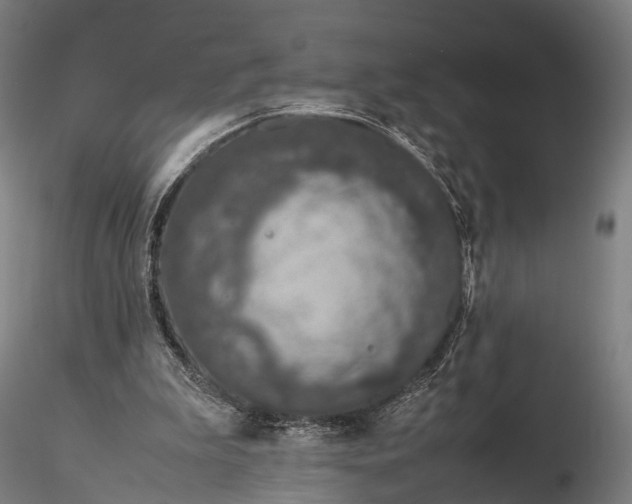 X0000116100199200912071308