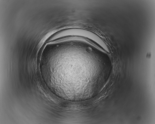 X0000116100200200912071308