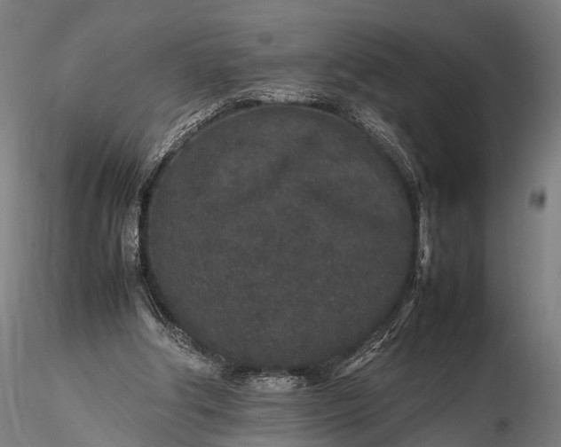 X0000116100202200912071308