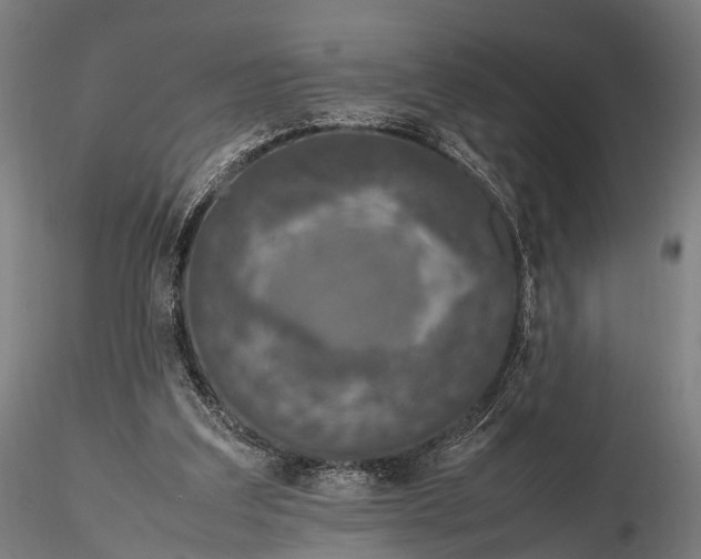 X0000116100203200912071308