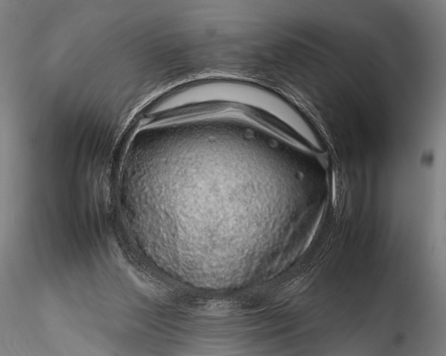 X0000116100204200912071308