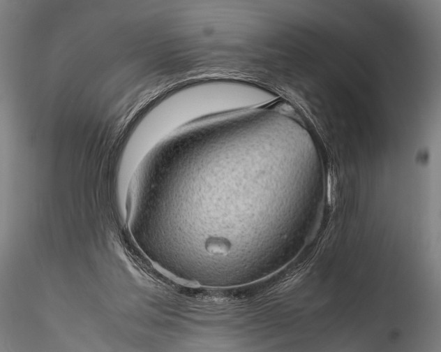 X0000116100205200912071308