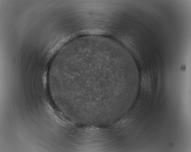 X0000116100206200912071307