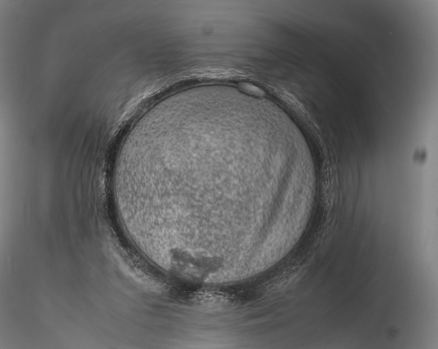 X0000116100207200912071307