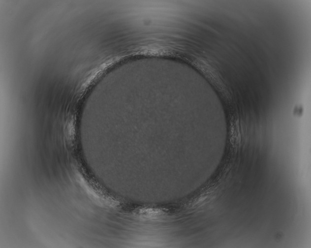 X0000116100208200912071307