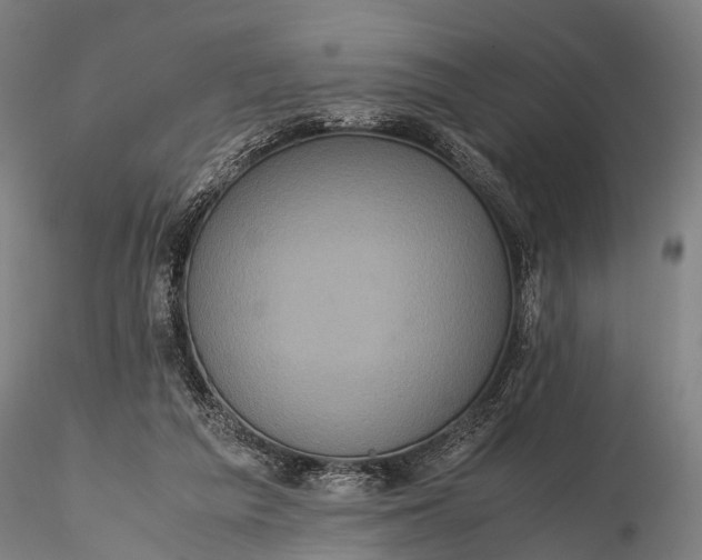 X0000116100209200912071307