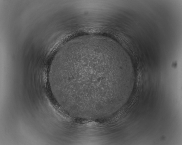 X0000116100210200912071307