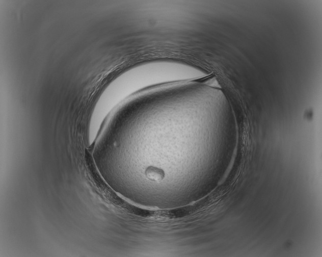 X0000116100211200912071307