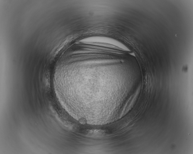 X0000116100212200912071307