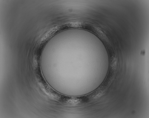 X0000116100213200912071307