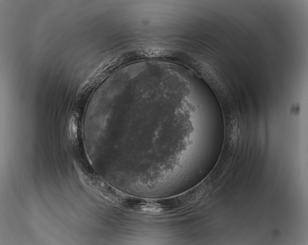 X0000116100214200912071307