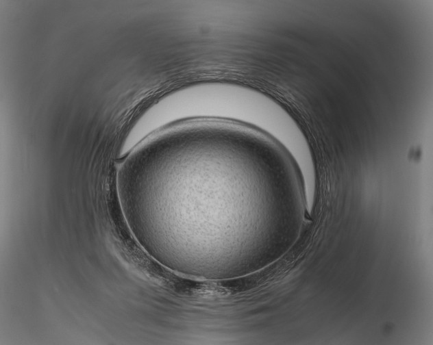 X0000116100215200912071307