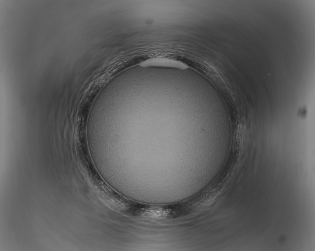 X0000116100217200912071307