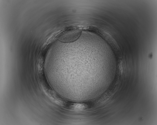 X0000116100218200912071307