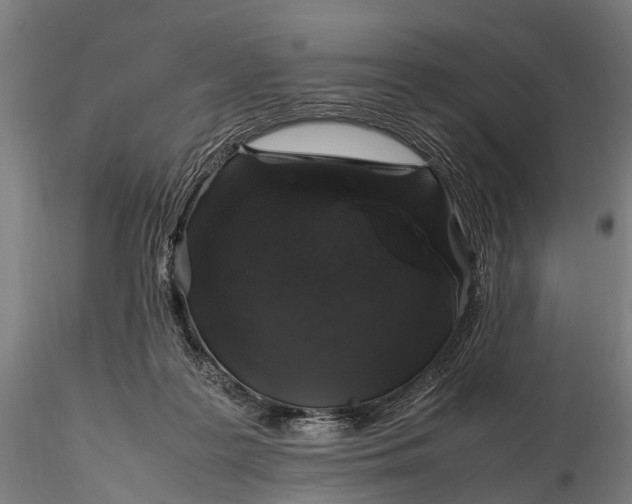 X0000116100219200912071307