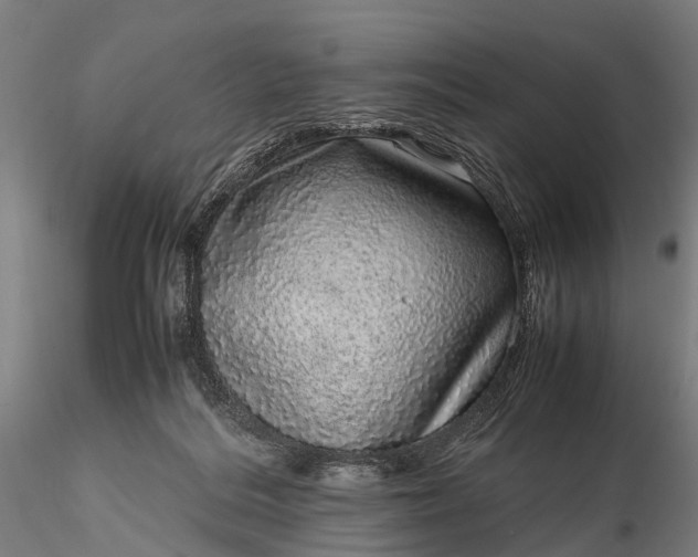 X0000116100220200912071307