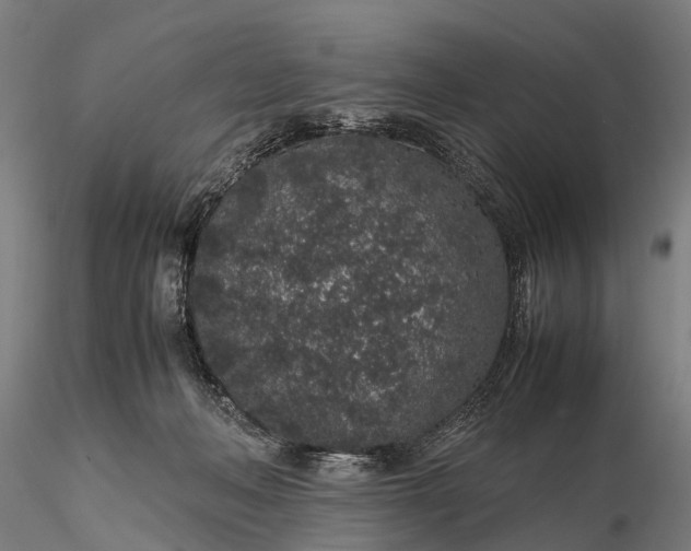 X0000116100222200912071307