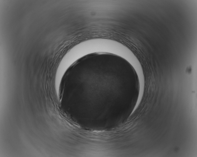 X0000116100223200912071307