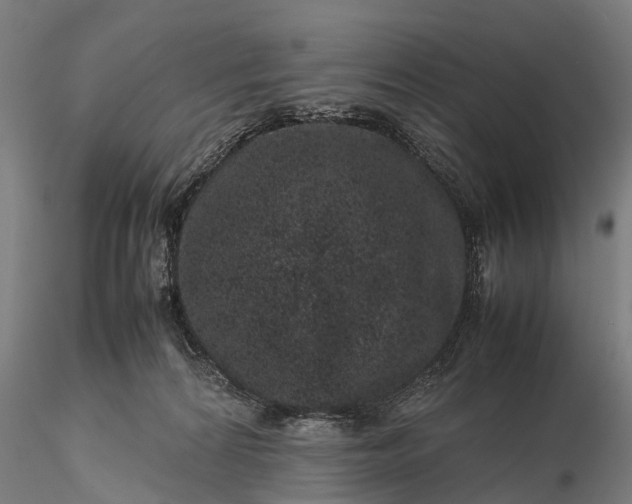 X0000116100224200912071307