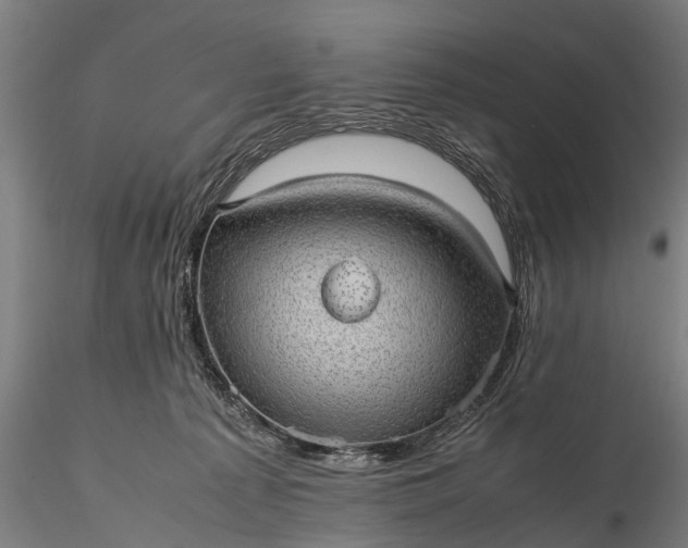 X0000116100225200912071307