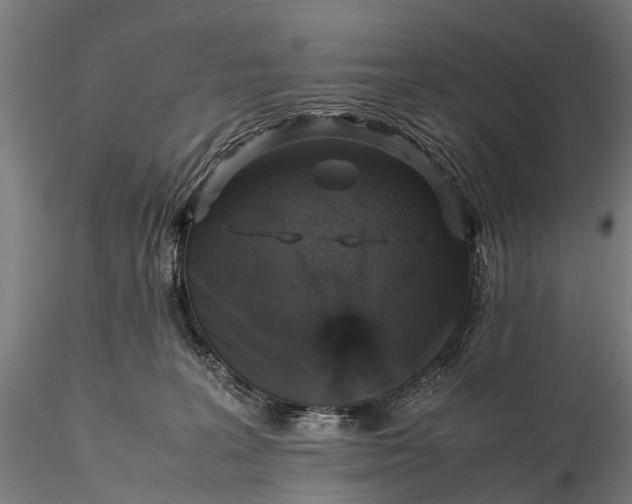 X0000116100227200912071307