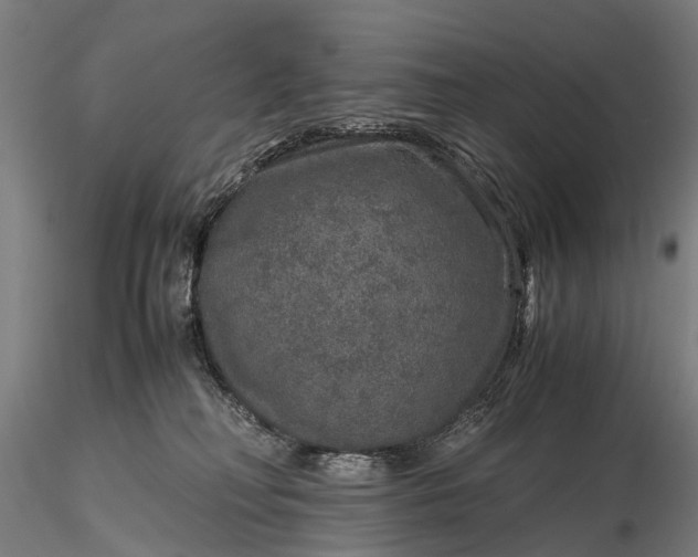 X0000116100230200912071307