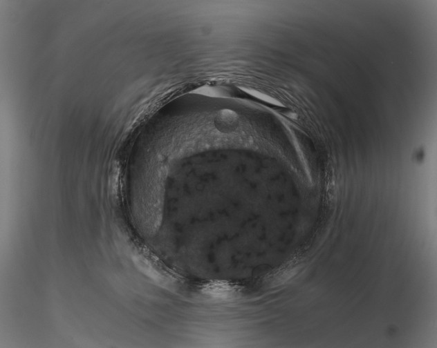 X0000116100231200912071307