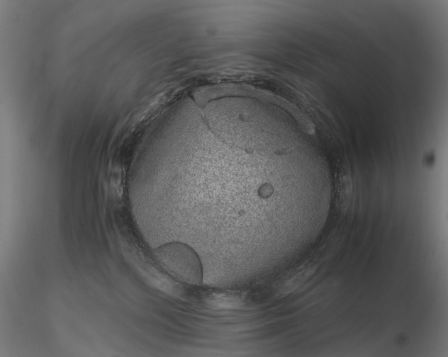 X0000116100232200912071307