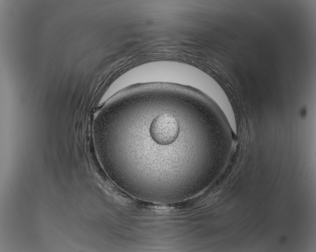 X0000116100233200912071307