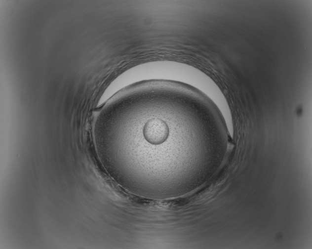 X0000116100235200912071307