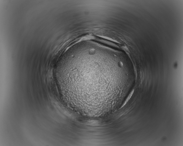 X0000116100236200912071307