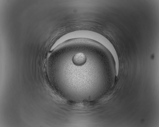 X0000116100237200912071307