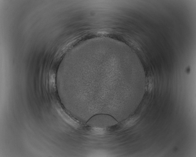 X0000116100238200912071307