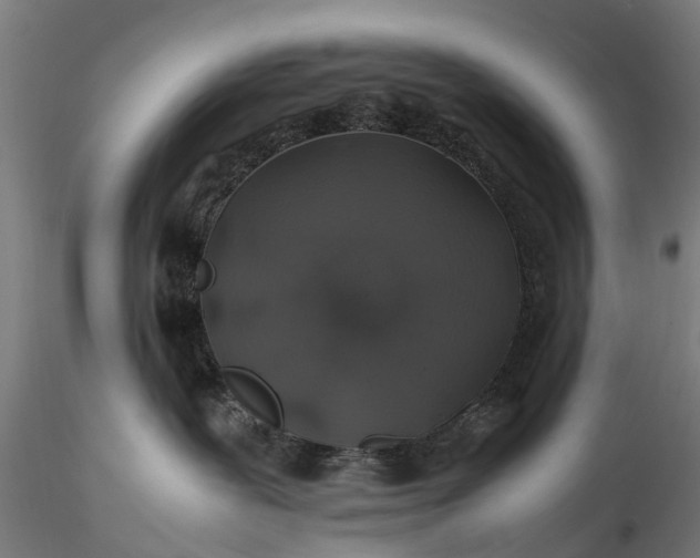 X0000116100239200912071307