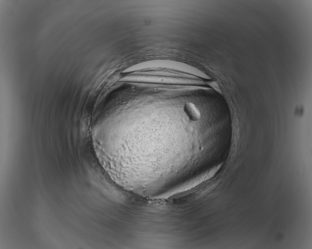 X0000116100240200912071307